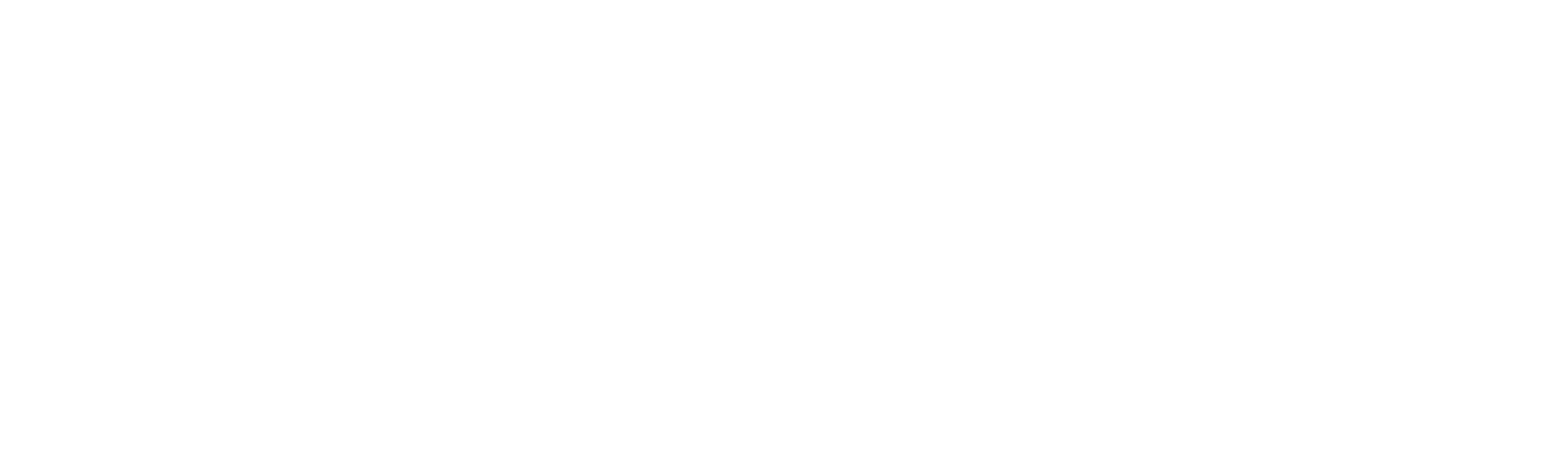 American Guns