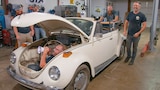 Meadowlark VW