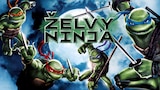 Želvy Ninja
