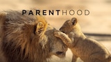 Parenthood
