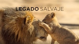 Legado Salvaje