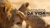Instintos da Vida Selvagem