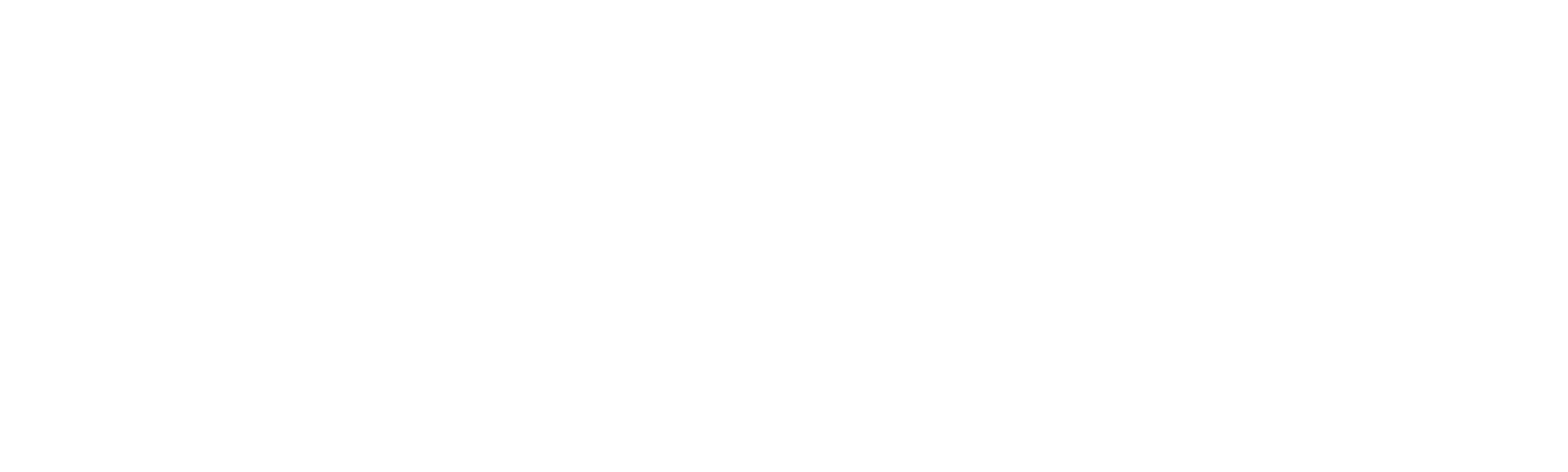 90 Day Journey: Robert & Anny