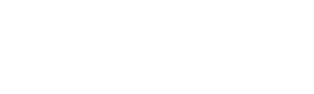 Encubierta en la red