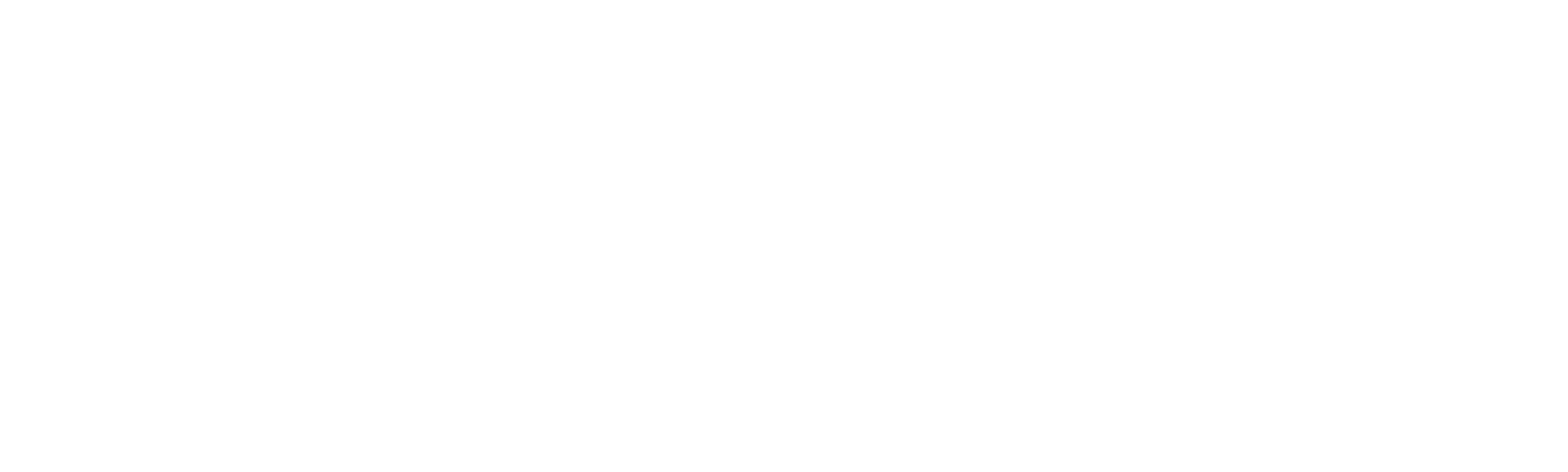 Encubierta en la red