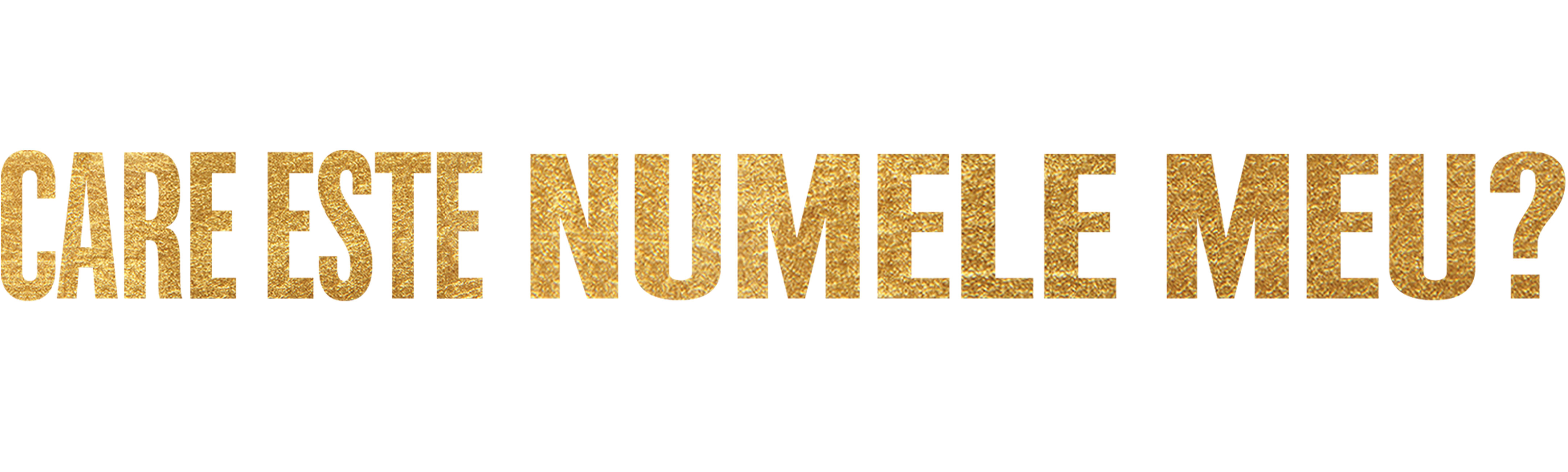 Care este numele meu? Muhammad Ali