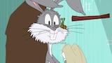 Bugs vs. Snail/To Catch a Fairy