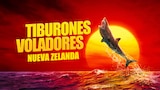 Tiburones voladores: Nueva Zelanda