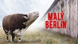 Malý Berlín