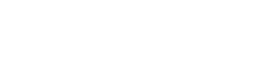 The Flight Attendant