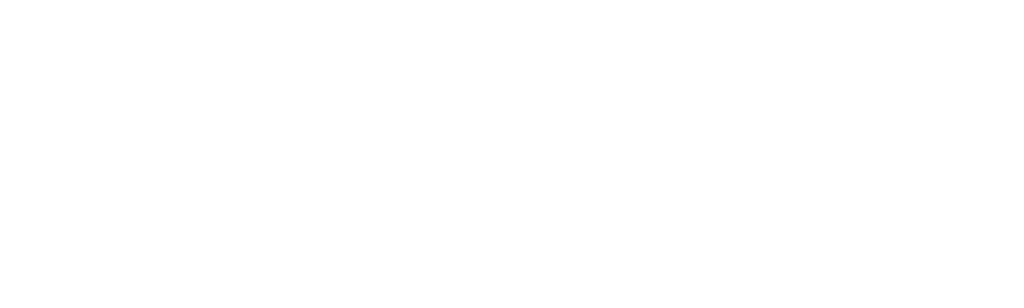 The Flight Attendant