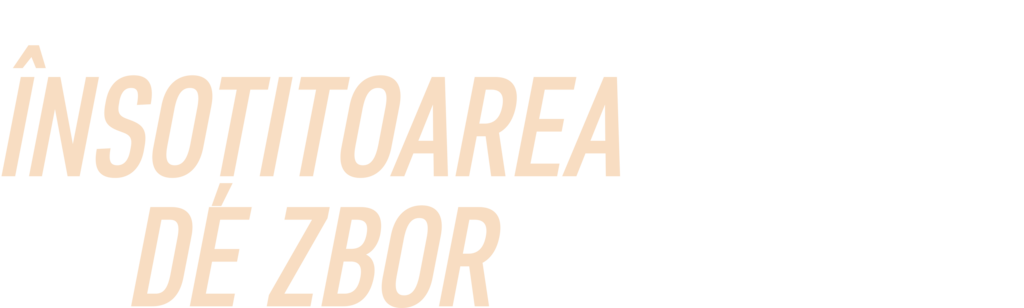 Însoțitoarea de zbor