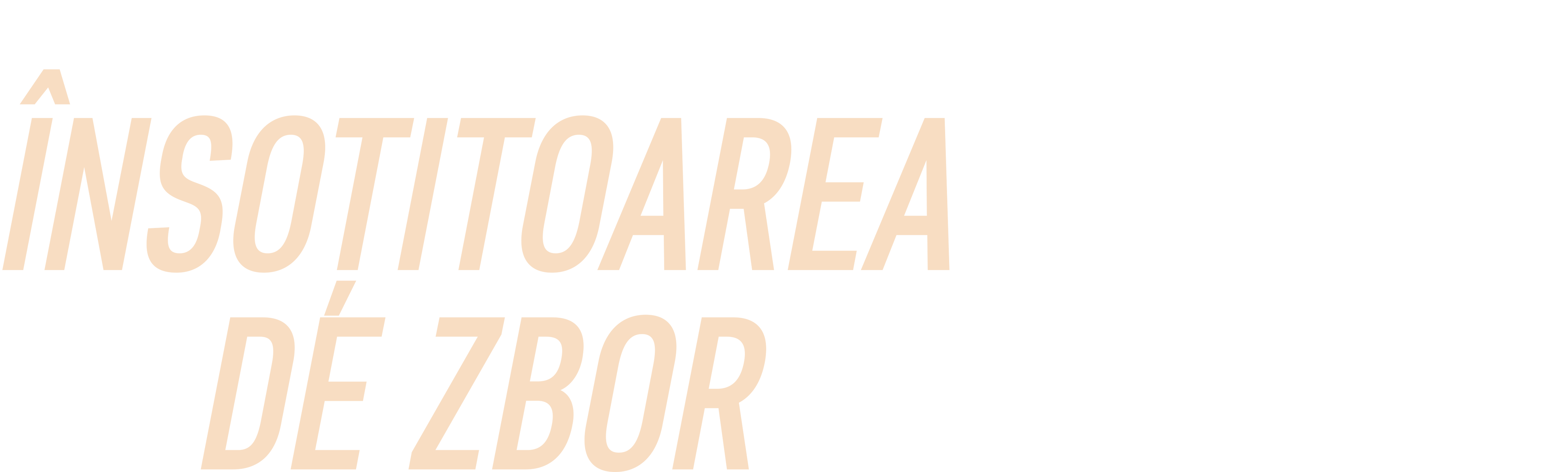 Însoțitoarea de zbor