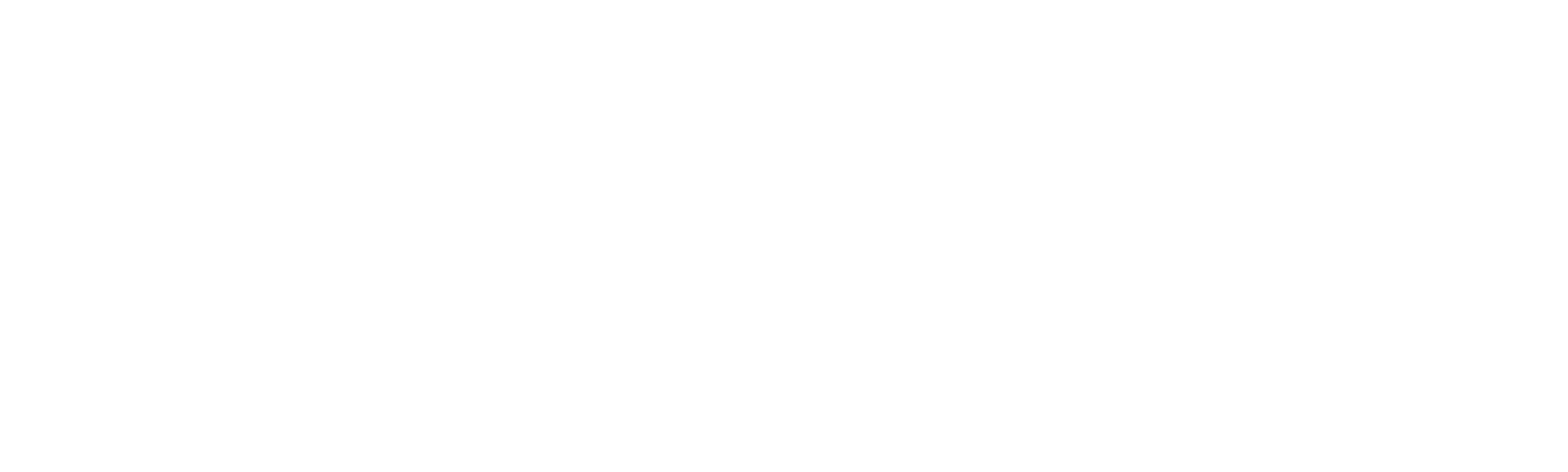 The Flight Attendant