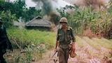 The War in Vietnam