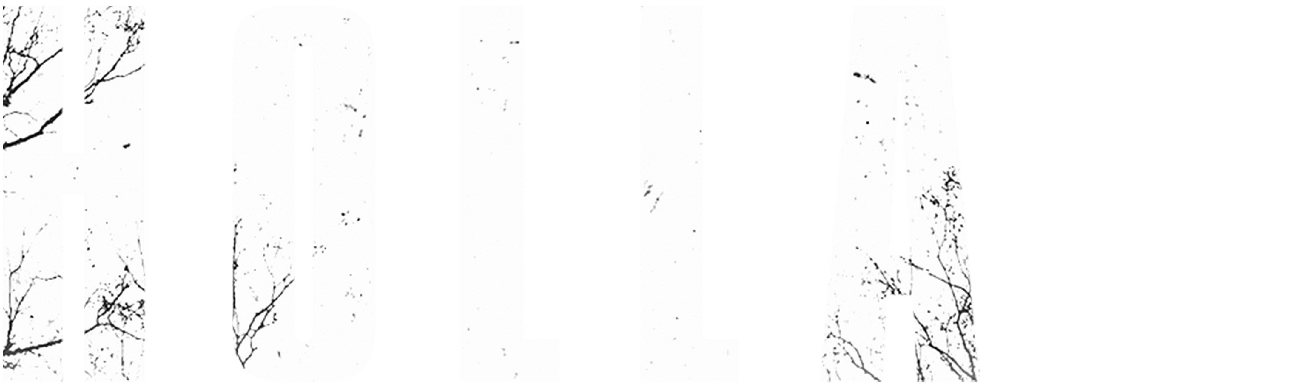 Holla