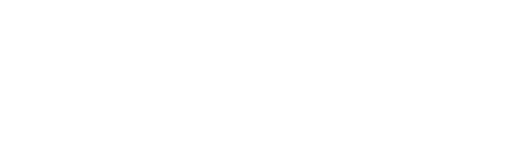 90 Day Journey: Tarik & Hazel