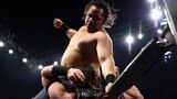Collision 2/22/2025