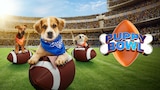 Puppy Bowl