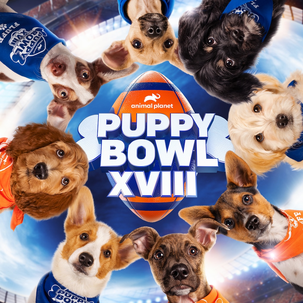 Puppy Bowl