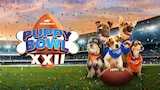 Puppy Bowl