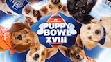 Puppy Bowl