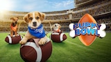 Puppy Bowl