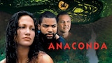 Anaconda