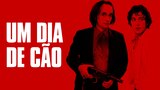 Um Dia de Cão