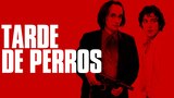 Tarde de Perros