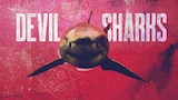 Devil Sharks