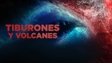 Tiburones y volcanes