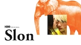 Slon