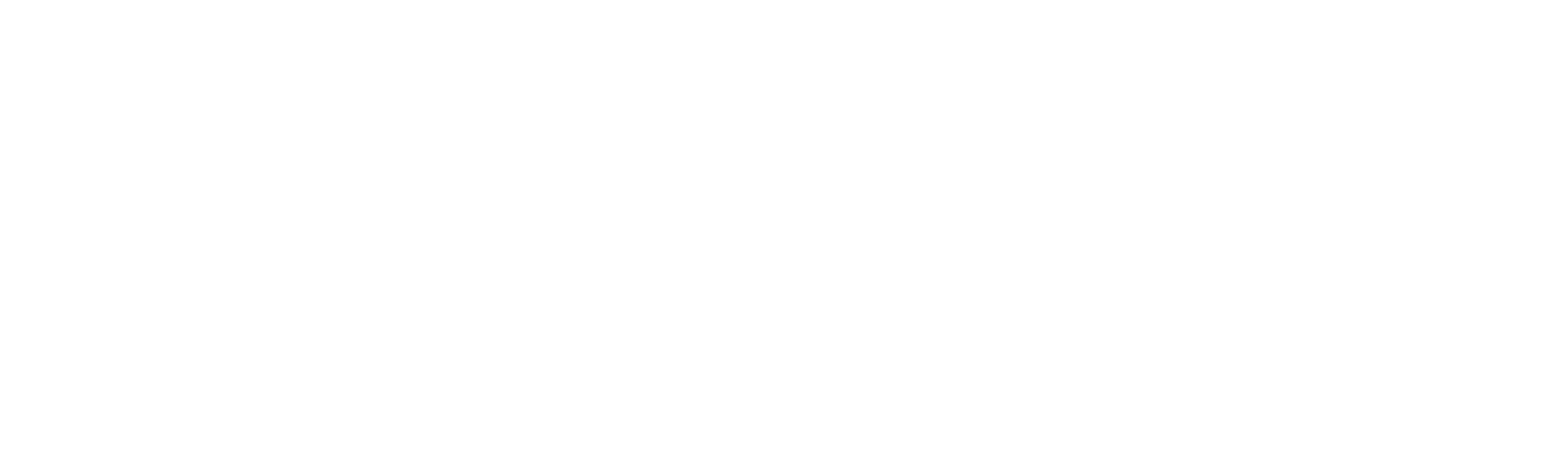 The Kid
