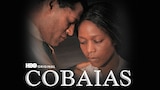 Cobaias