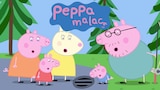 Peppa malac