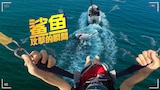 鏡頭拍到你：鯊魚攻擊