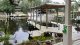 Below Dock