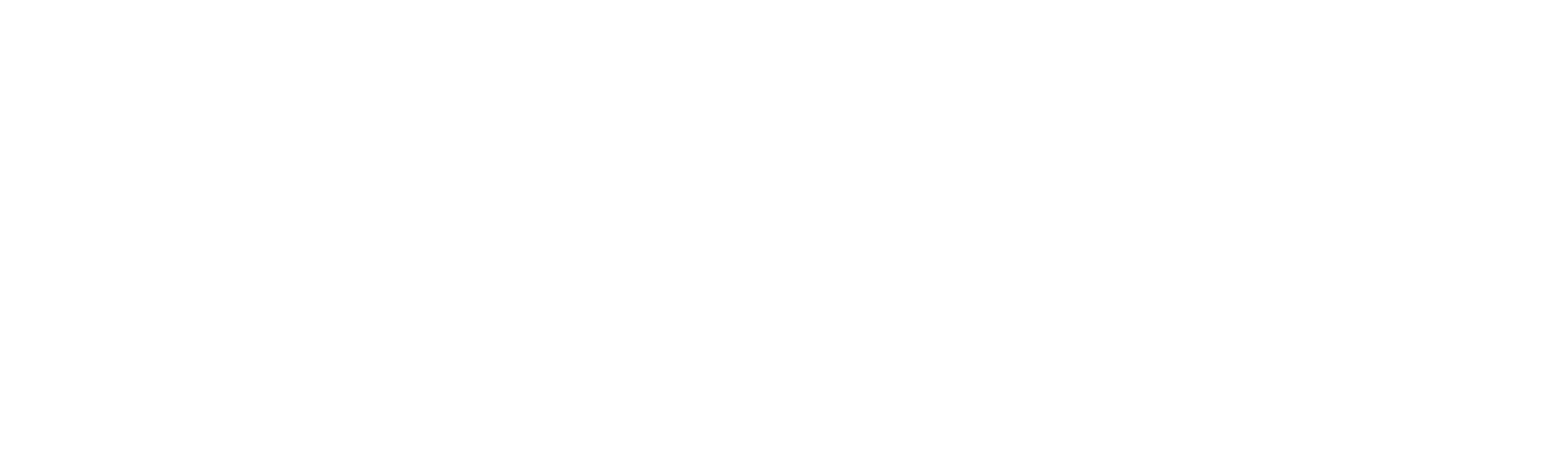 The Shop on Main Street