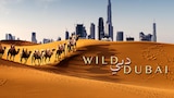 Wild Dubai