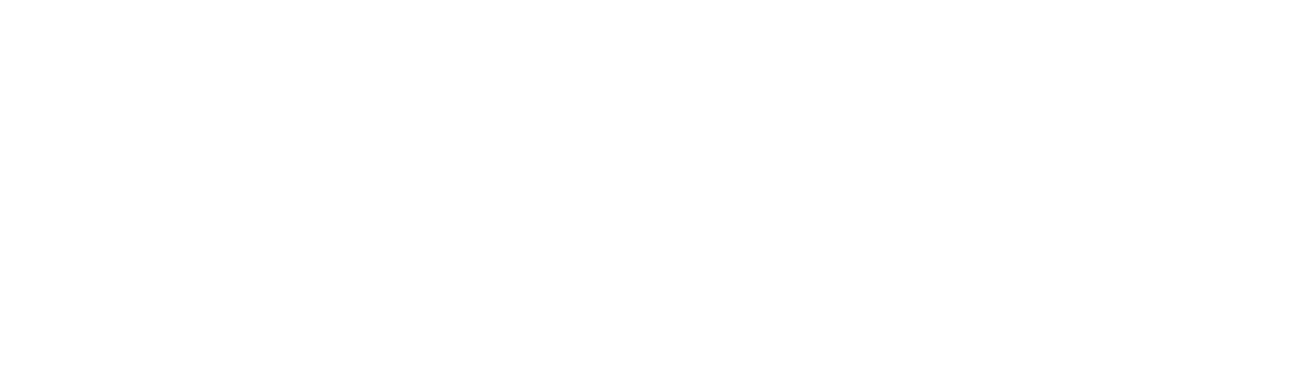 The Shooting
