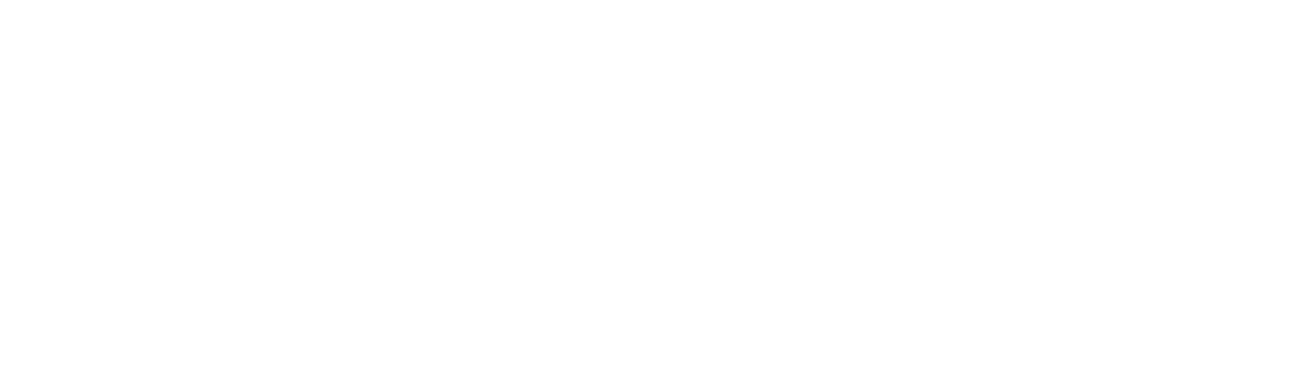 The Rover