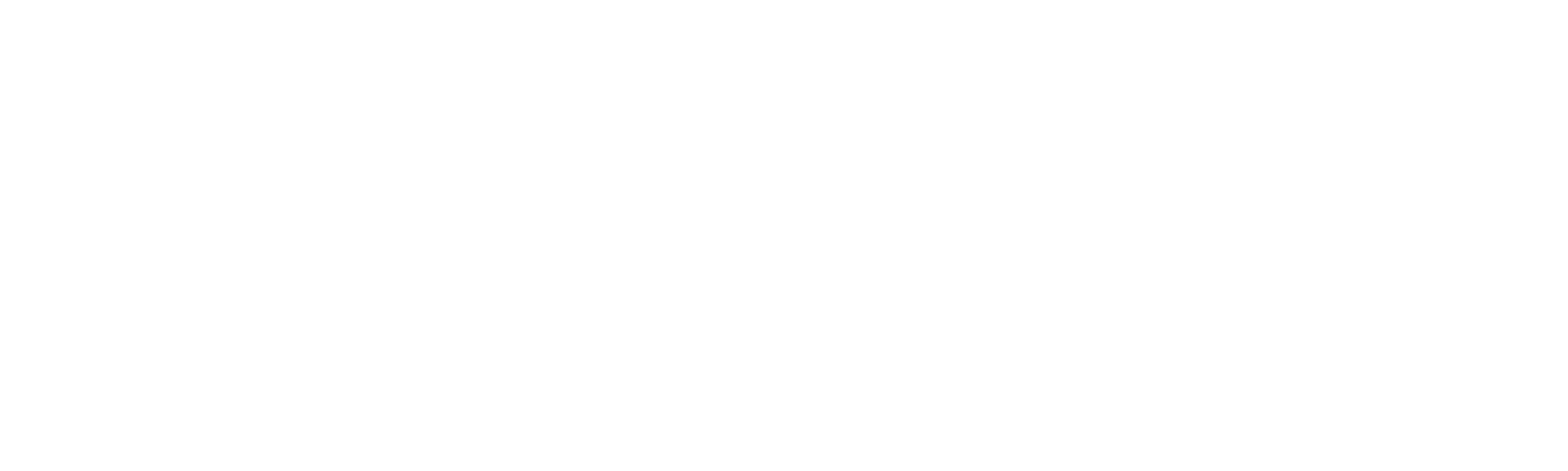 Tiburones: Espectáculo en el mar
