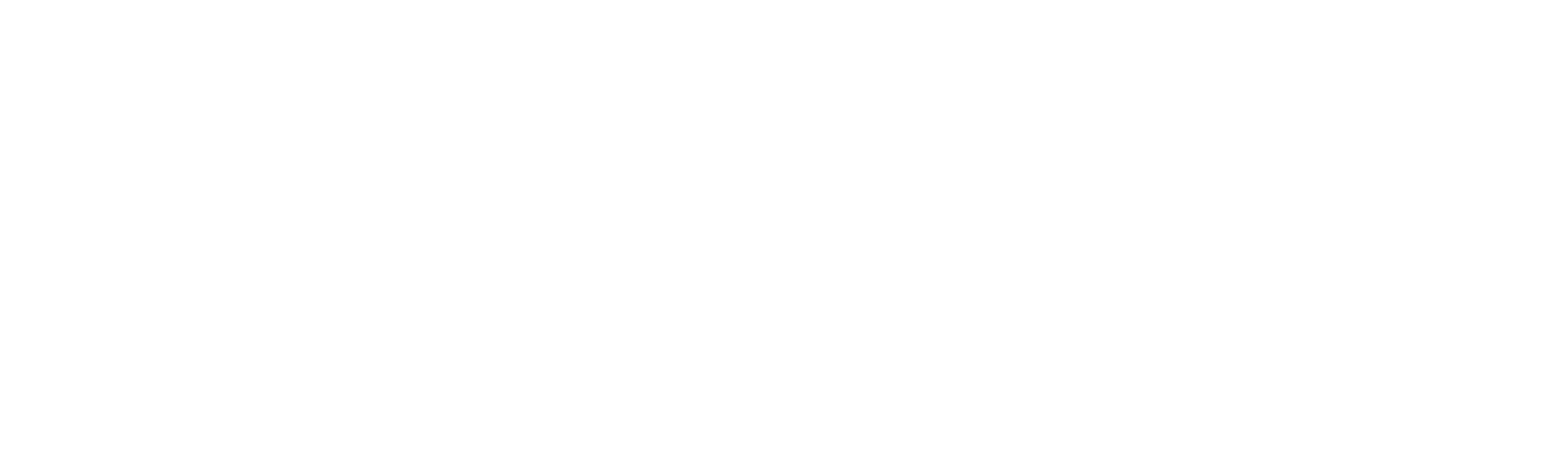 假體真做