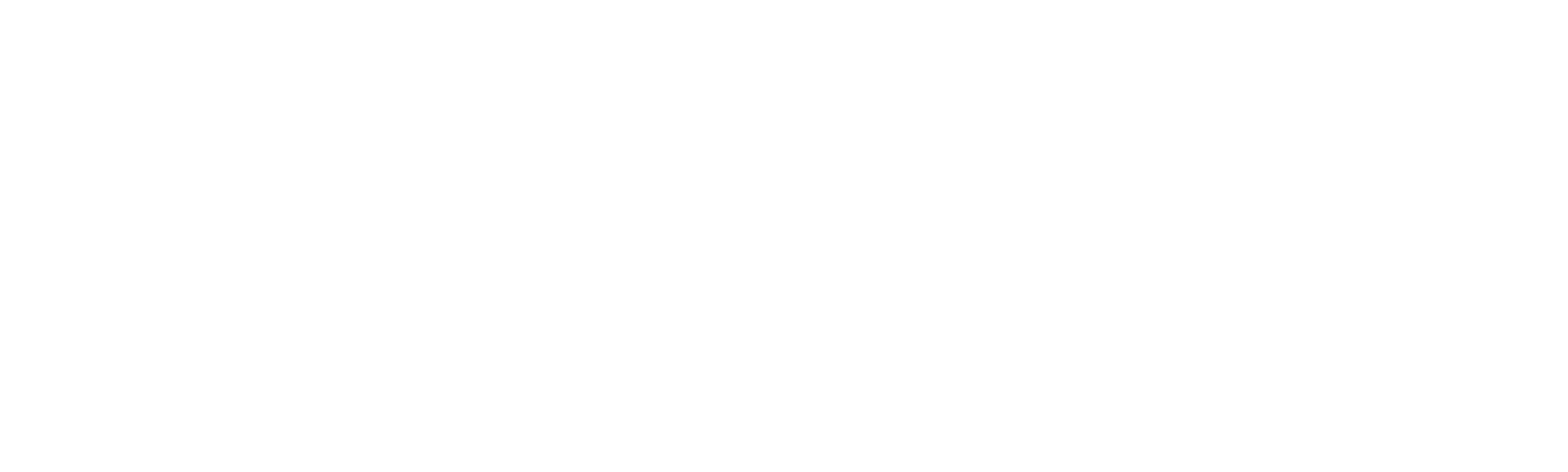 Europa Europa