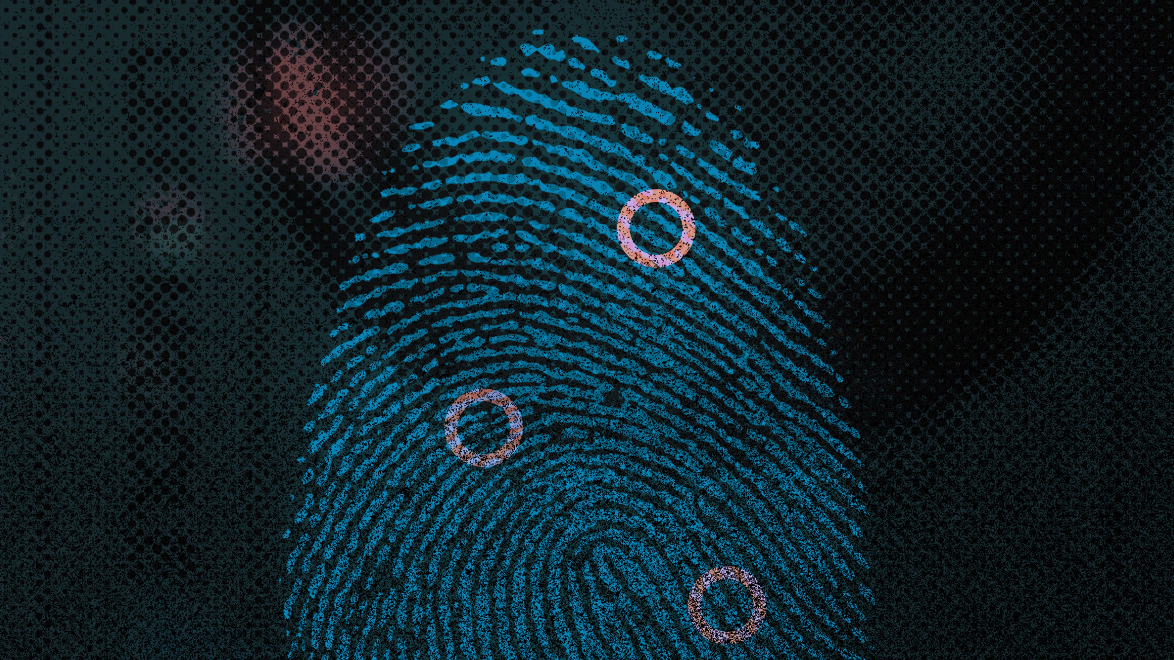 Watch Murder Decoded | HBO Max