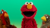 My Elmo: Feathered Friends