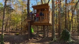 Treehouse Z