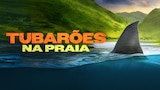 Tubarões na Praia