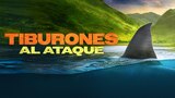 Tiburones al ataque